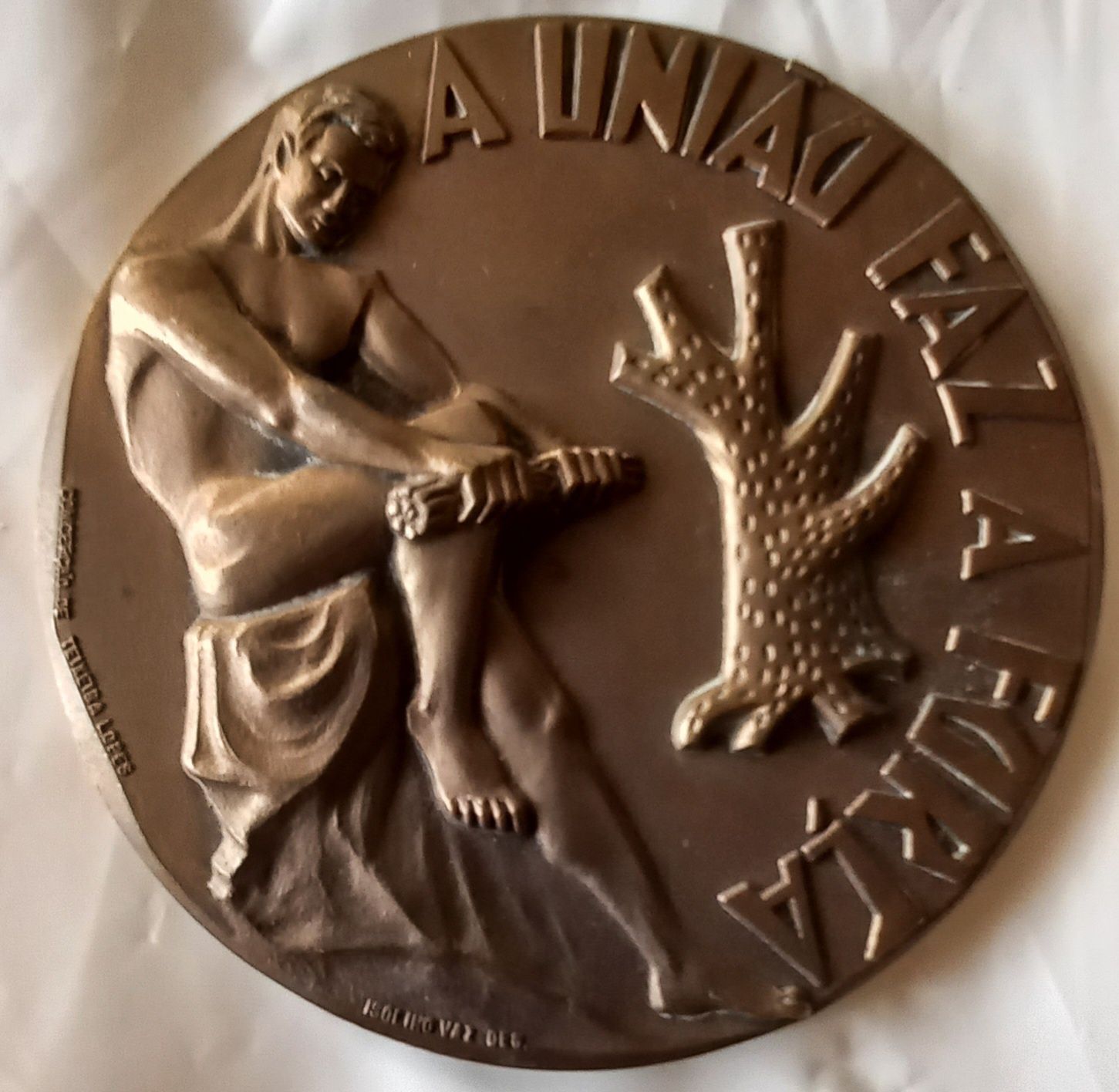 Medalha em bronze do centenário do Ateneu.