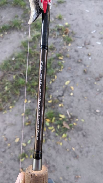 Комплект Shimano nasci 3000 Azura fortran neo