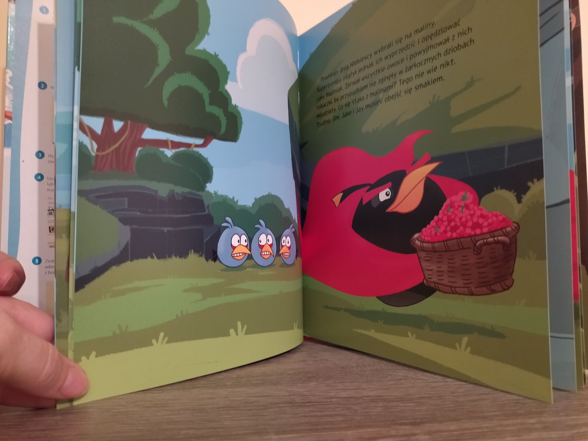 Angry Birds - książeczka