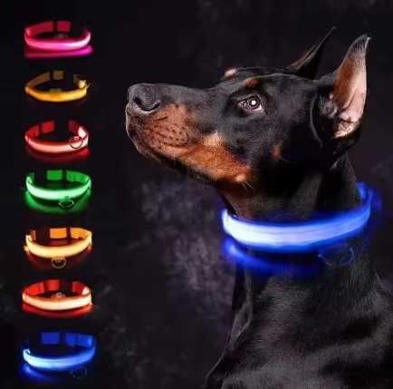 Coleira para cão com led recarregável por usb para segurança do animal