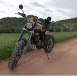 Bullit Bluroc 125 Trophy Edition