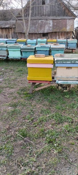 Продам улья б/у для пчёл