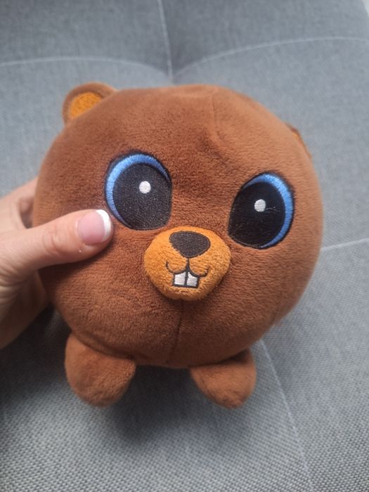 Maskotka Bóbr Borys