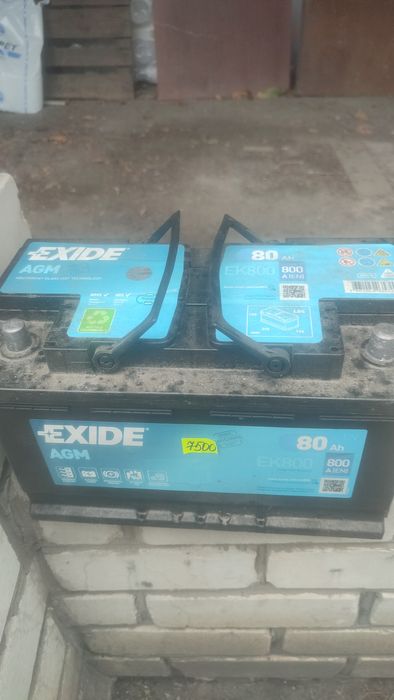 акумулятор Exide AGM 80Ah 800A(EN)