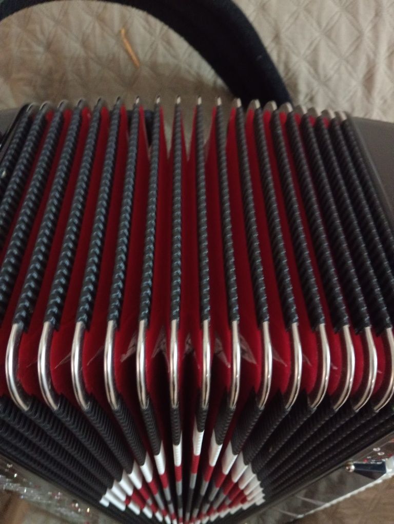 Acordeon Dinno Baffetti Profissional I/A
