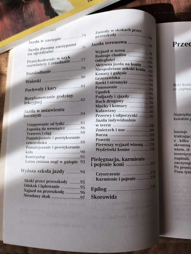 Jazda konna dla początkujących poradnik jeździecki