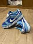 Nike Dunk azuis e brancas