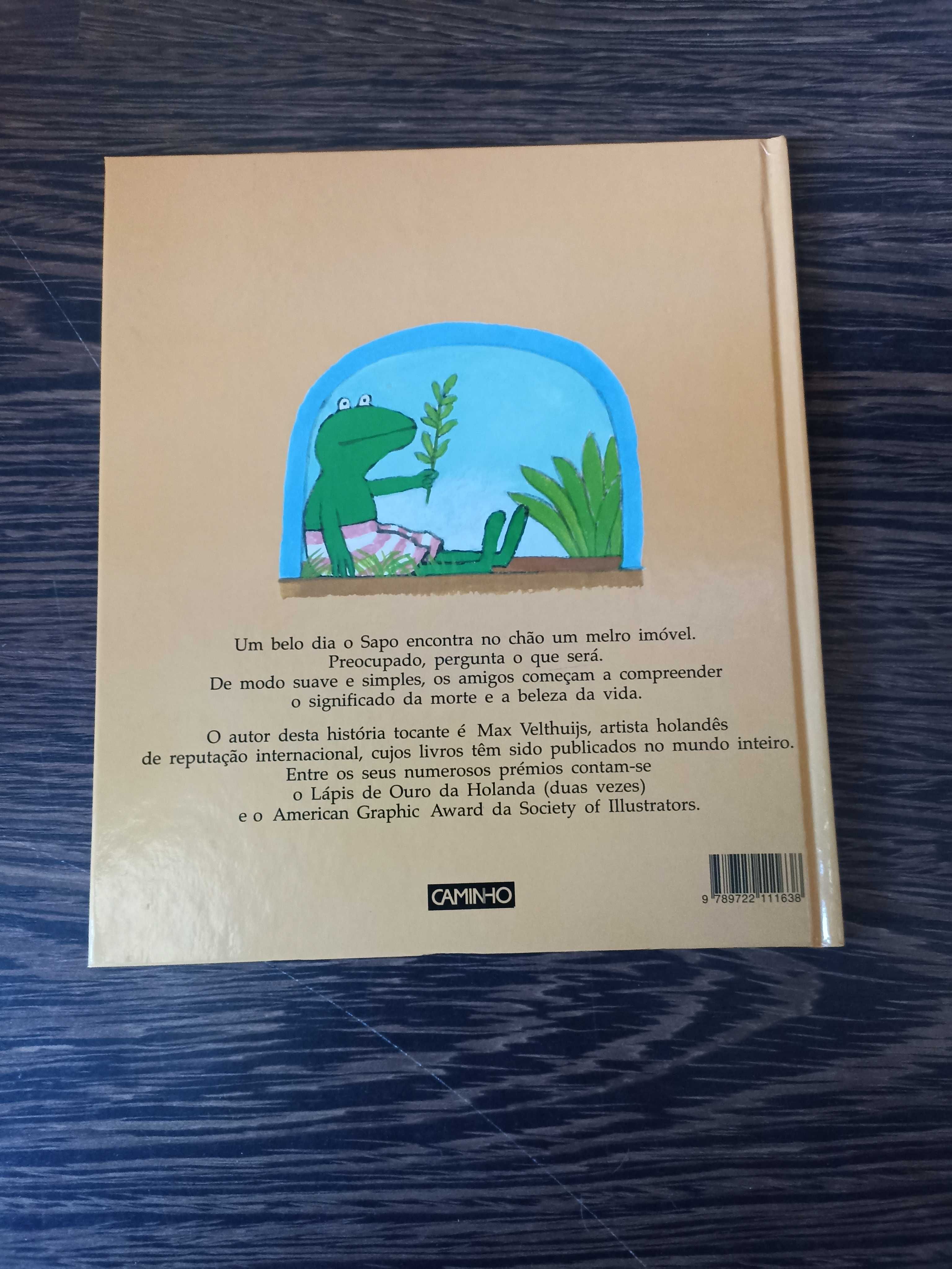 Livro infantil  Novo