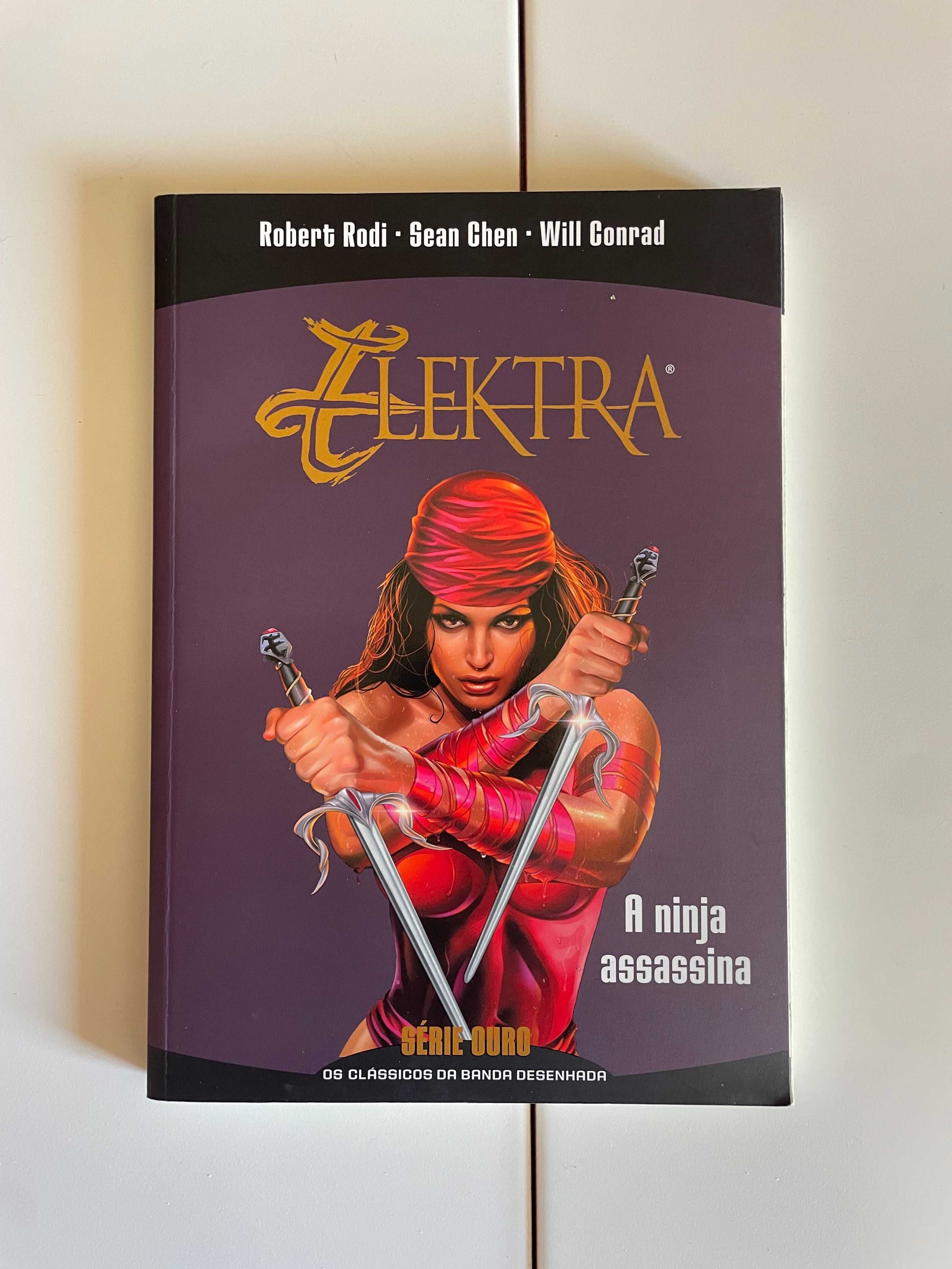 Elektra - A Ninja Assasina
