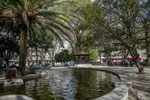 Apartamento para arrendar Campo de Ourique