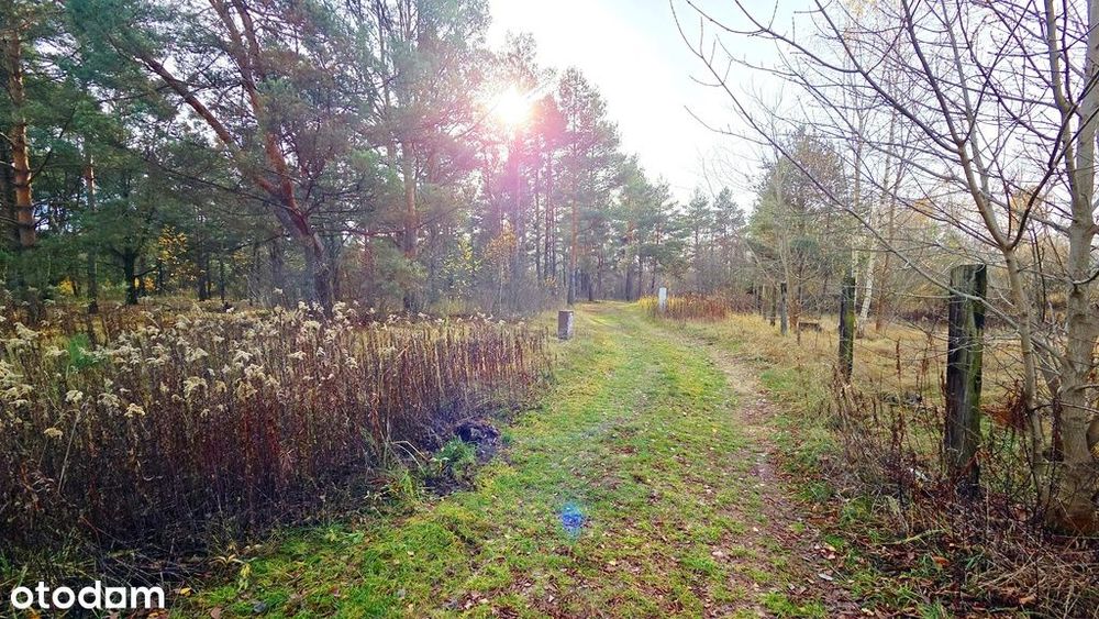 Dąbrowa Leśna, w Kampinoskim parku, MPZP, Unikat!!