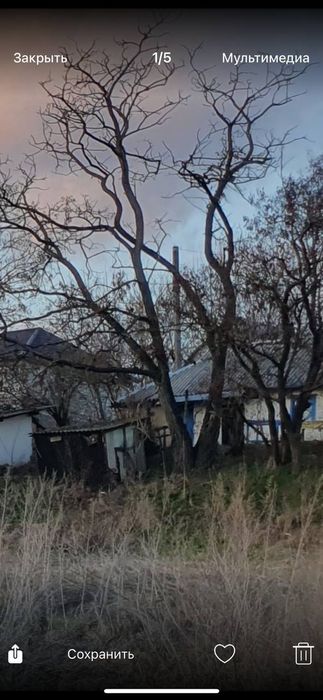 Валка деревьев, резка дров, уборка участков