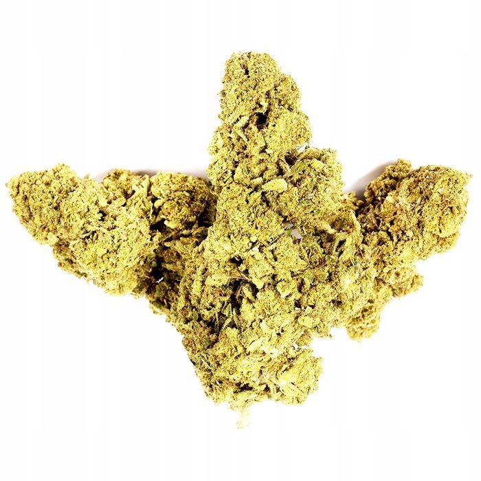 100G Susz CBD Lemon Haze Indoor 0,20% HURT Producent FV Susz konopny