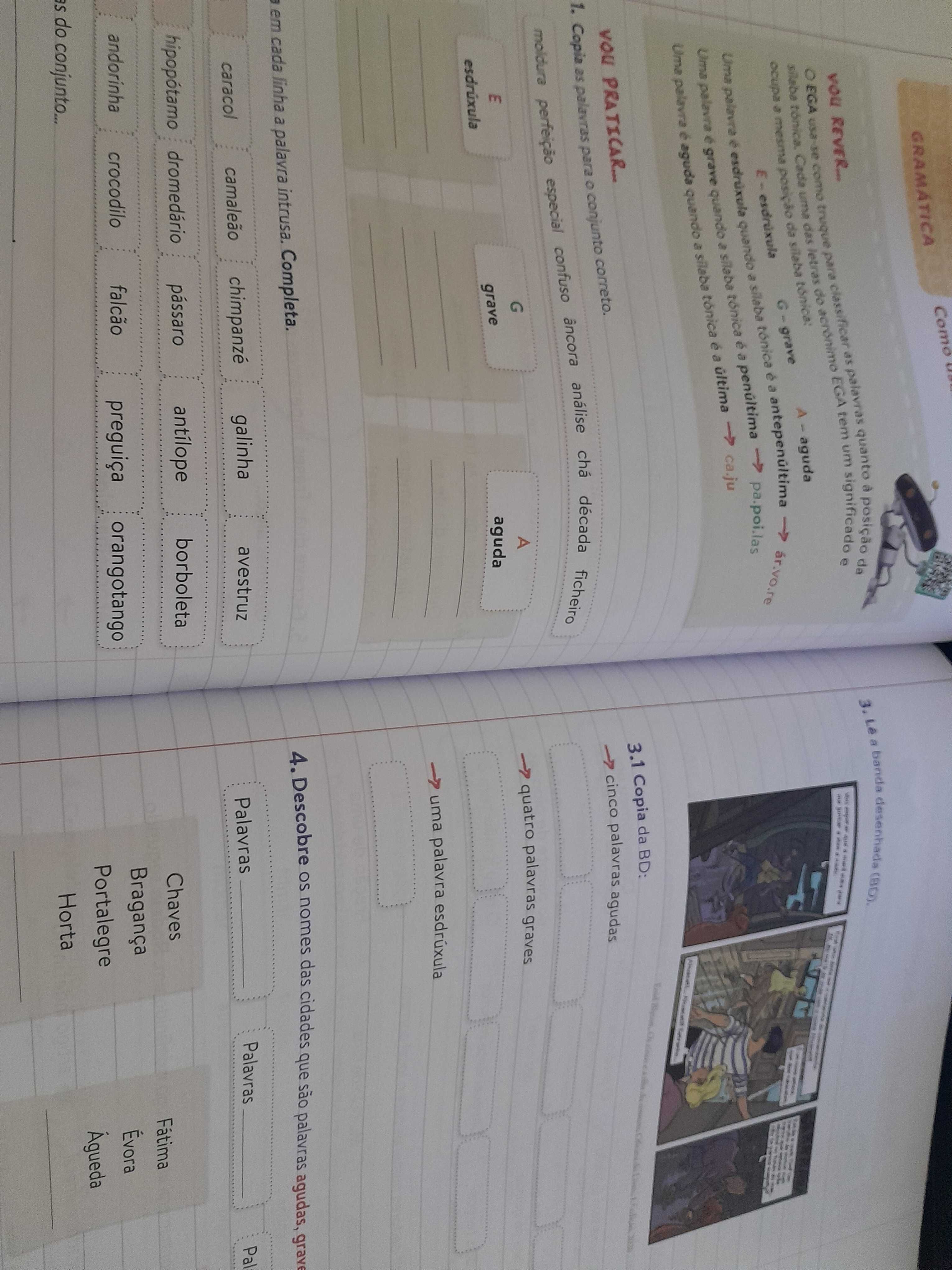 Caderno de apoio português, 3 Ano, PLIM