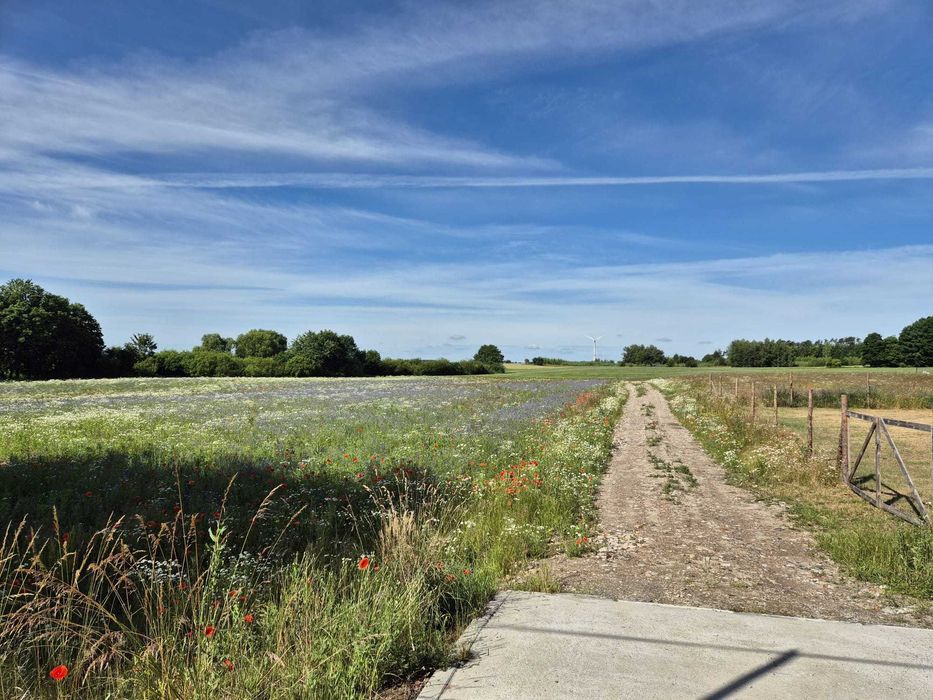 Działka budowlana blisko Tucholi