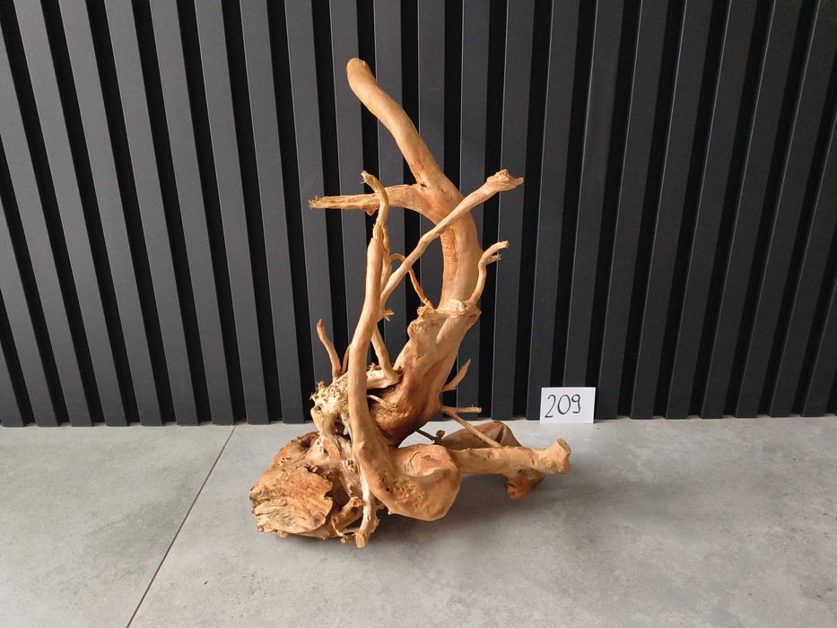 korzeń Red Moor Wood 209 PREMIUM Japoński akwarium terrarium 44x30x22