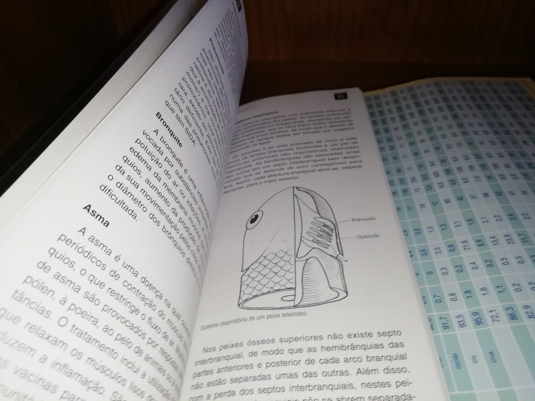 Manual de ciências para apoio do professor