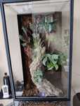 Terrarium duże jak nowe