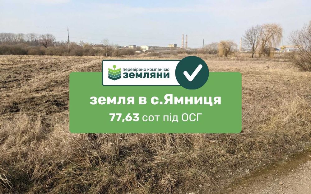 Продається земля 77,63 сот під ОСГ, с. Ямниця (5)