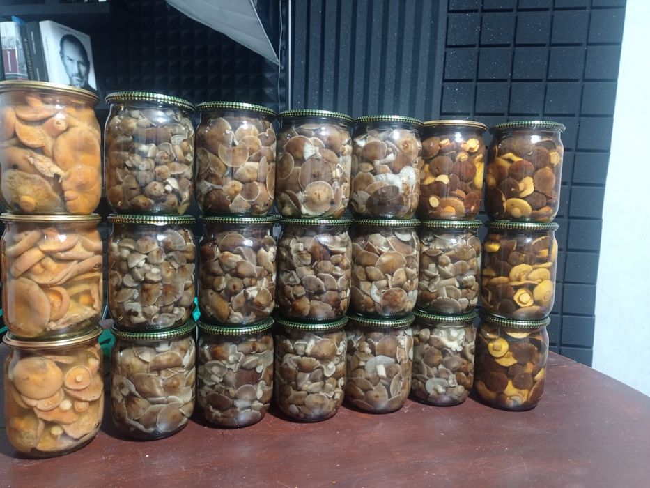 Мариновані грибочки рижики, опеньки, білі,польські
