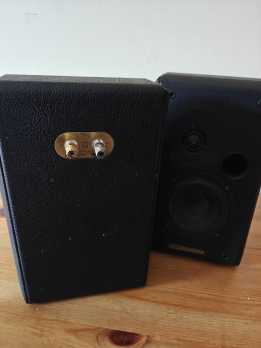Sonus Faber Wall speakers