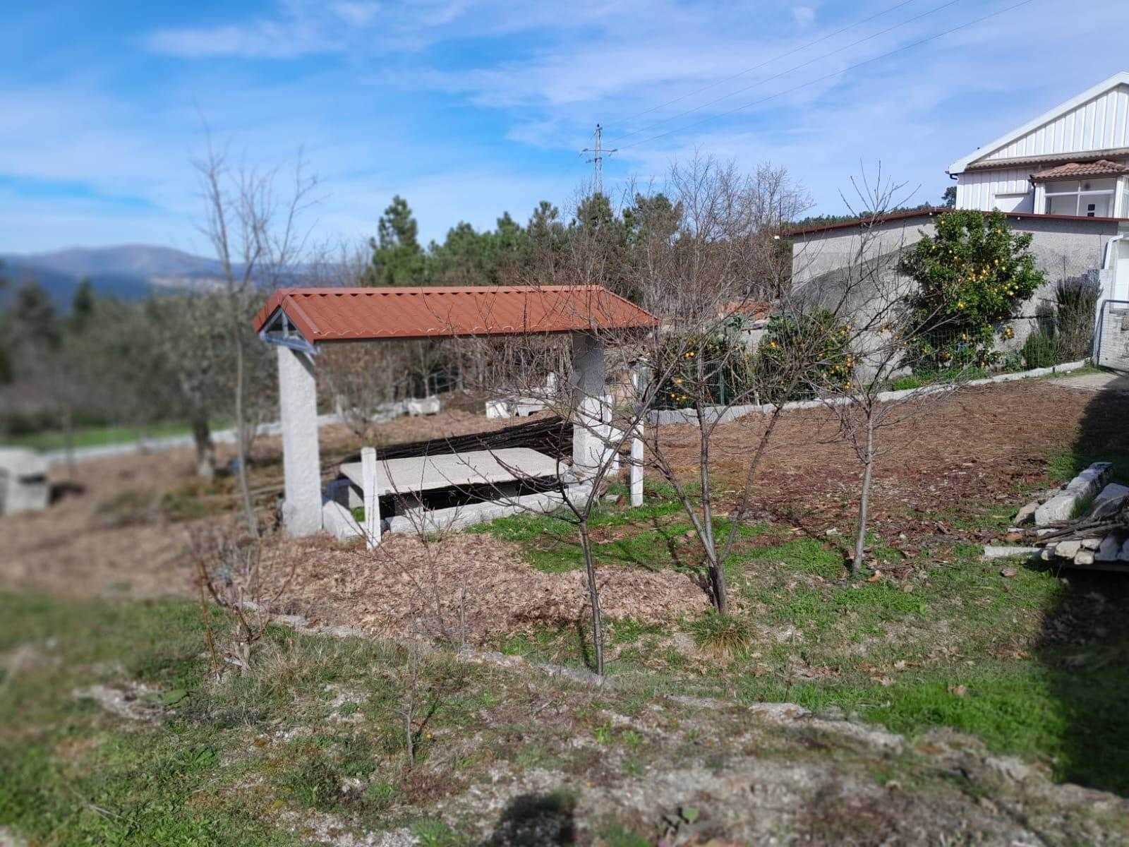 Quinta com 3,5 hectares na aldeia de Carrazedo da Cabugueira