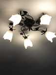 Lampa sufitowa  pięcio ramienia