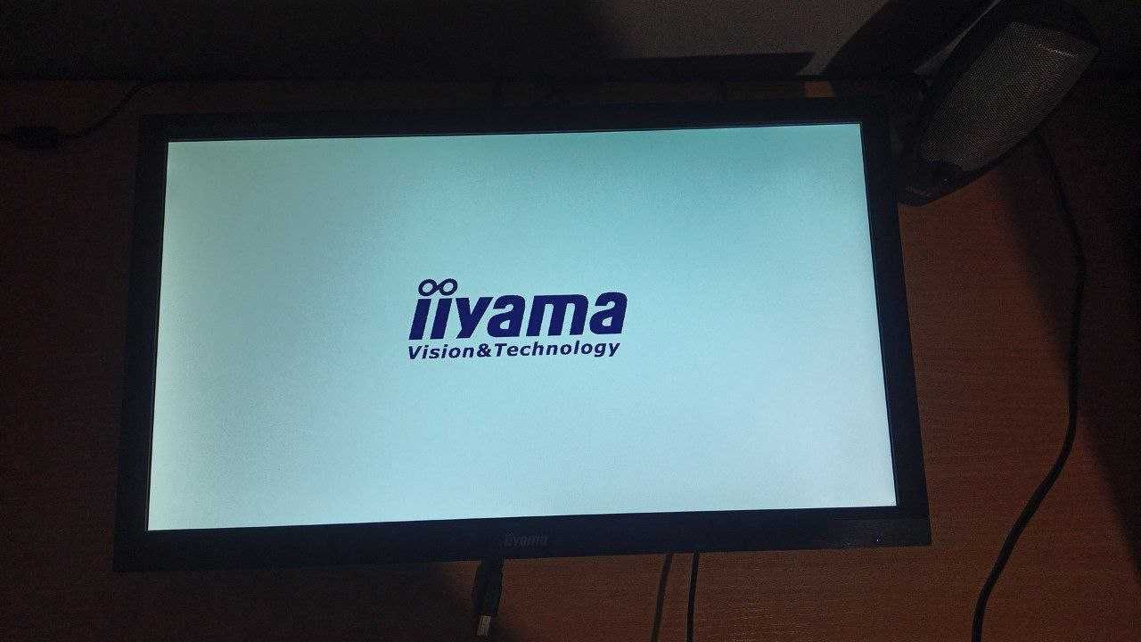 Monitor iiyama ProLite E2083HSD