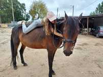 Festas de aniversário/ andar a cavalo