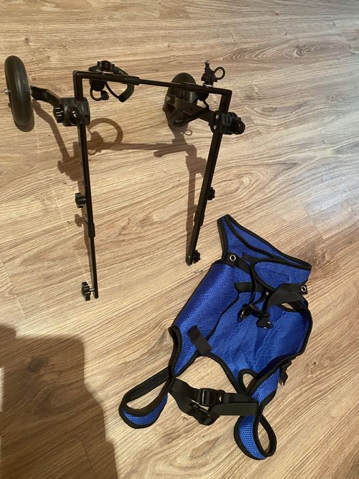 Wózek inwalidzki dla psów na tylne nogi rozmiar M