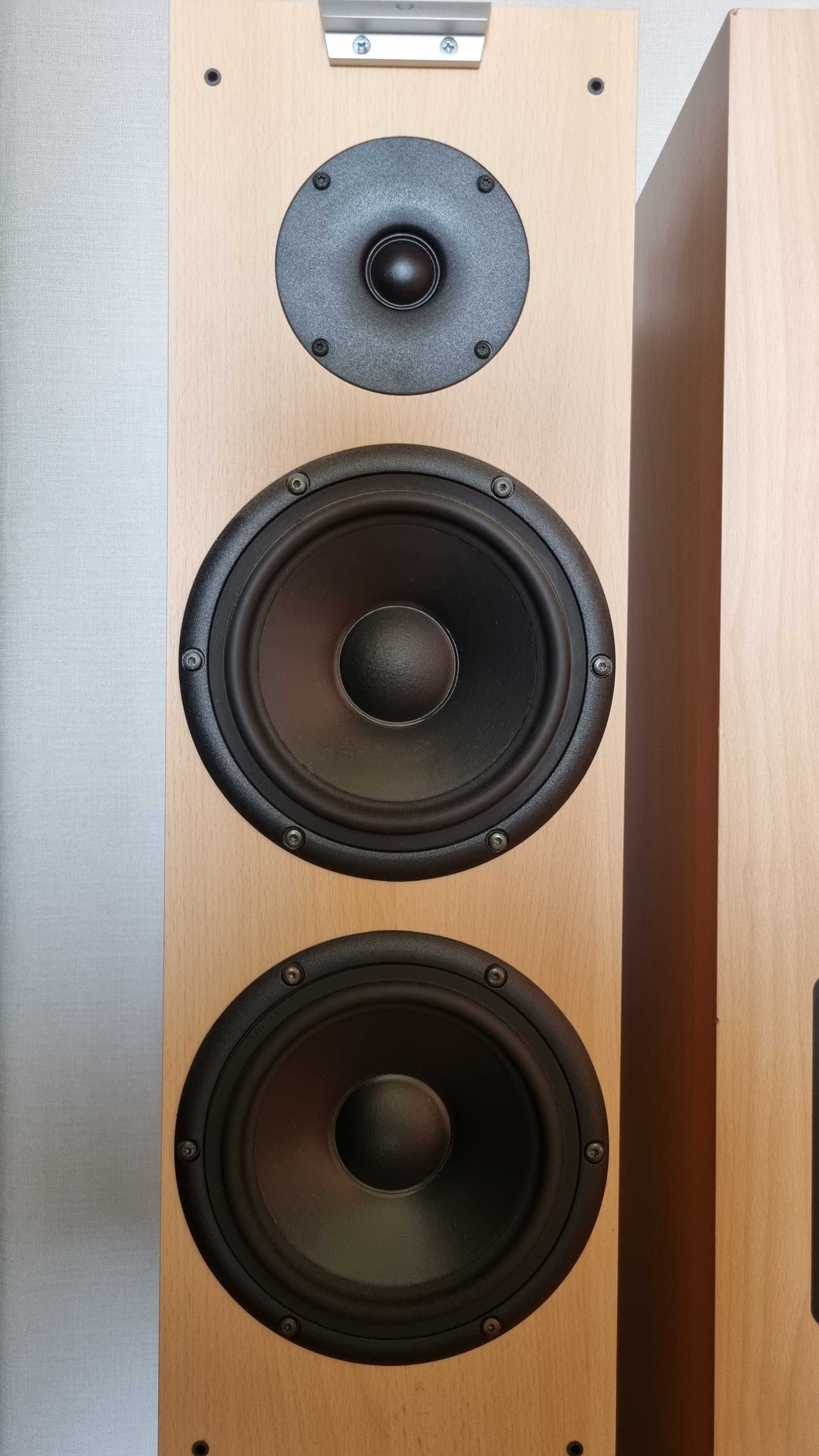 Kolumny Audiovector C-Series, głośniki VIFA