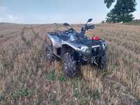 Yamaha Grizzly 700 Limited