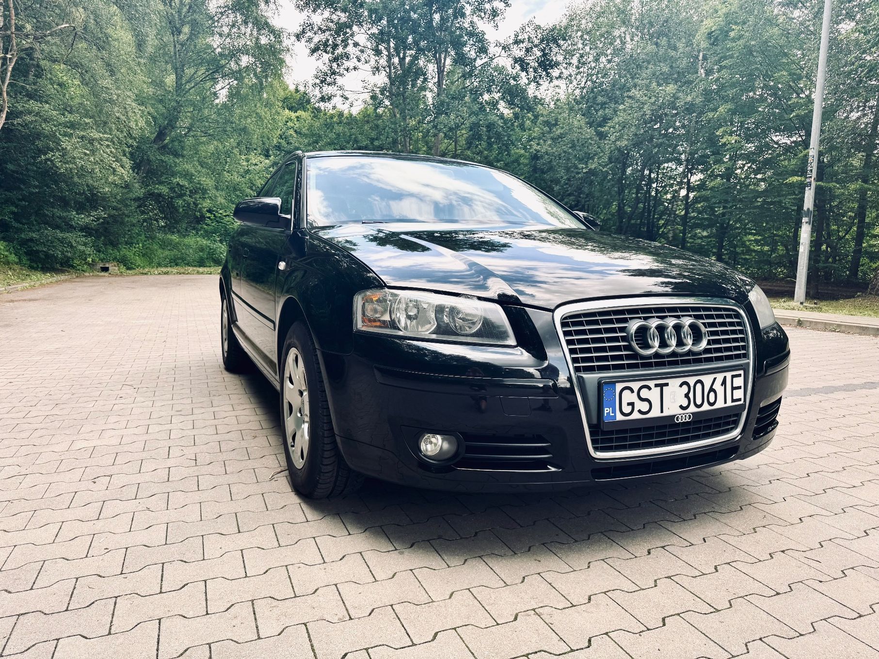 Audi A3 Audi A3 8P 1.6MPI Zadbany, Pierwszy własciciel w kraju