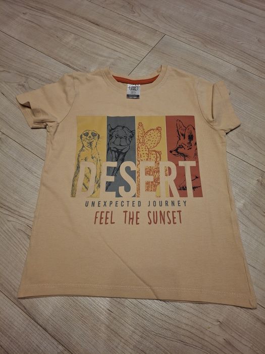 Zestaw T-shirtów, PEPCO, rozmiar 104, 3-4 lata