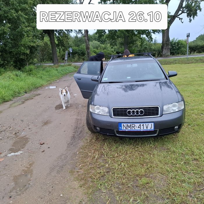 AUDI A4B6 2004r.130 km