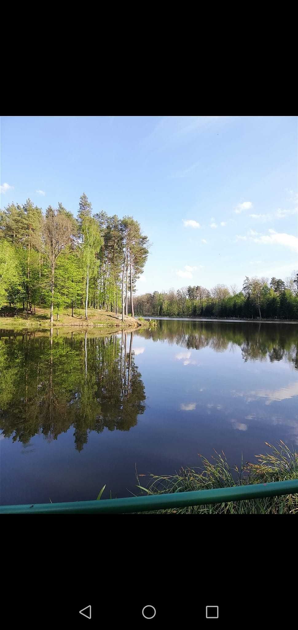 noclegi Horyniec Zdrój