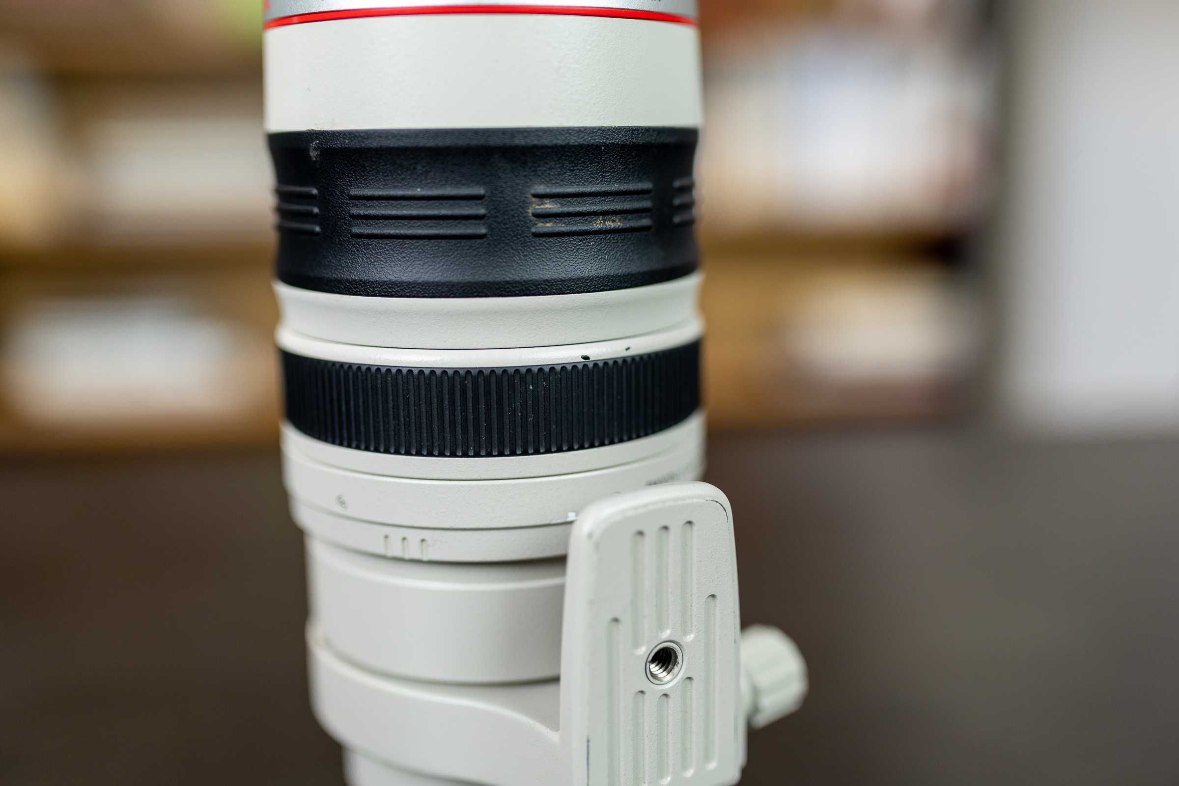 Canon EF 100-400 mm f/4.5-5.6 L IS USM