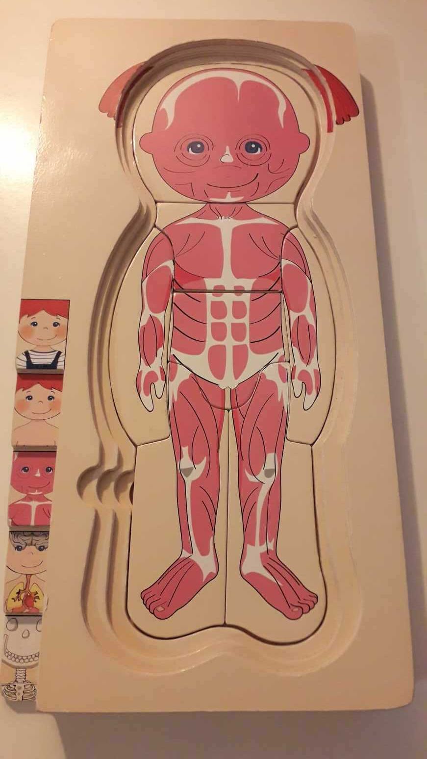 Drewniane puzzle anatomia człowieka