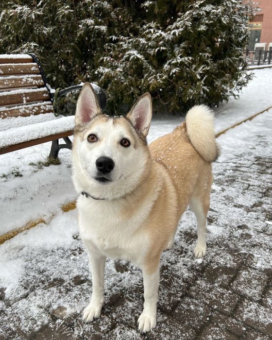Ищу супер хорошего человека для Юты!