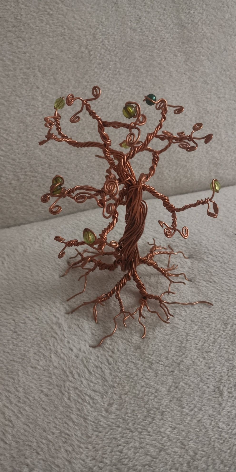 Drzewko bonsai, drzewko szczęścia