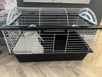 komplet dla królika – klatki, transporter, akcesoria, karma i więcej!