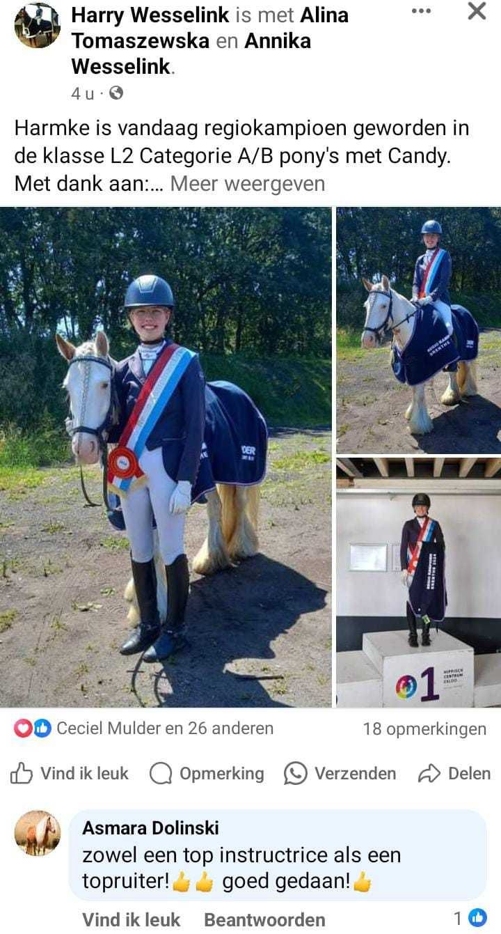 Kon ujezdzenie sport klacz tinker irish cob kuc grupa C