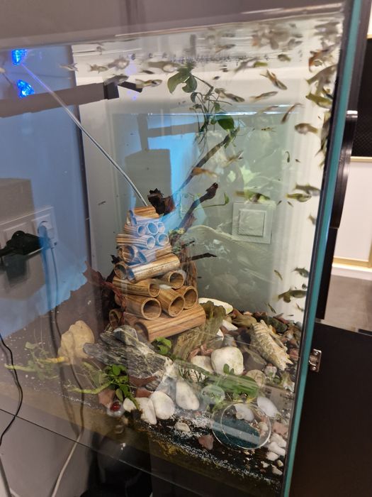 Akwarium 160 z szafką i wyposażeniem