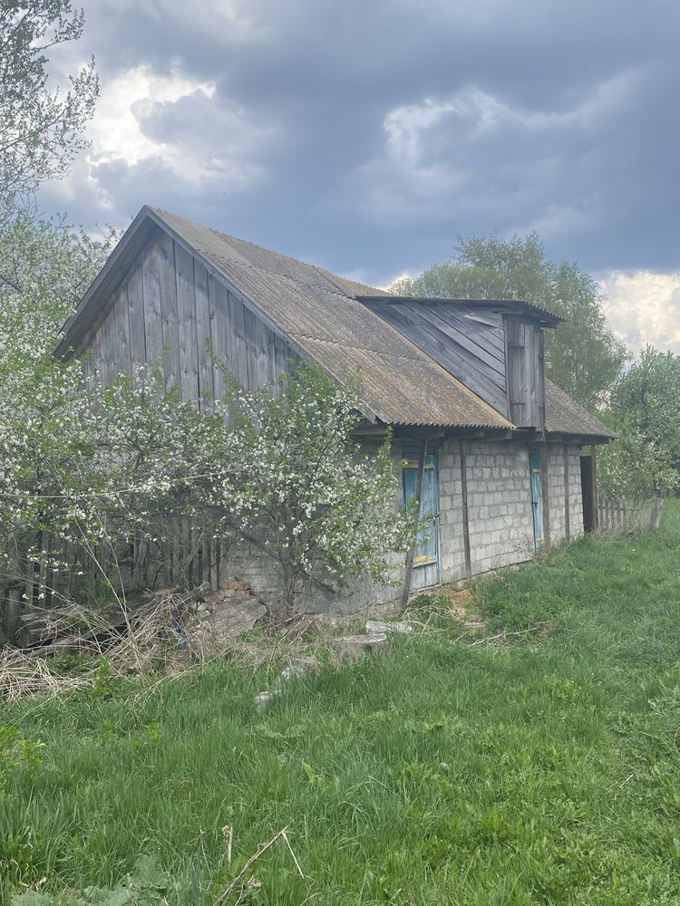Житловий будинок із земельною ділянкою в с. Холоневичі