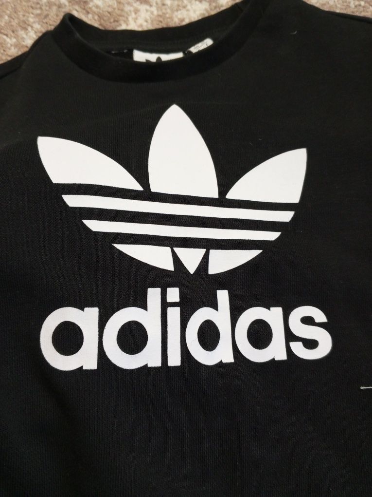 Adidas originals костюм набір штани світшот