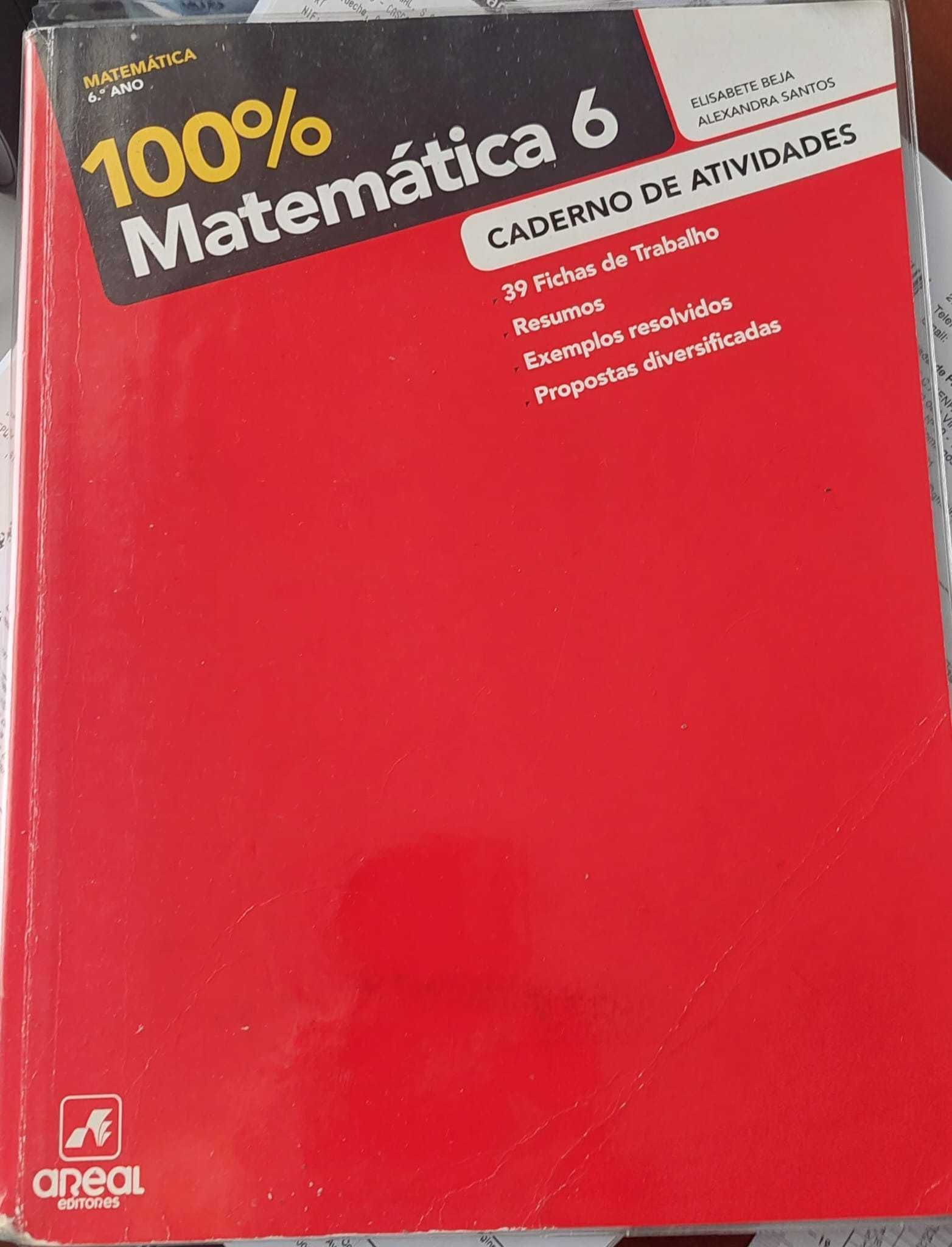 100% Matemática 6 ano