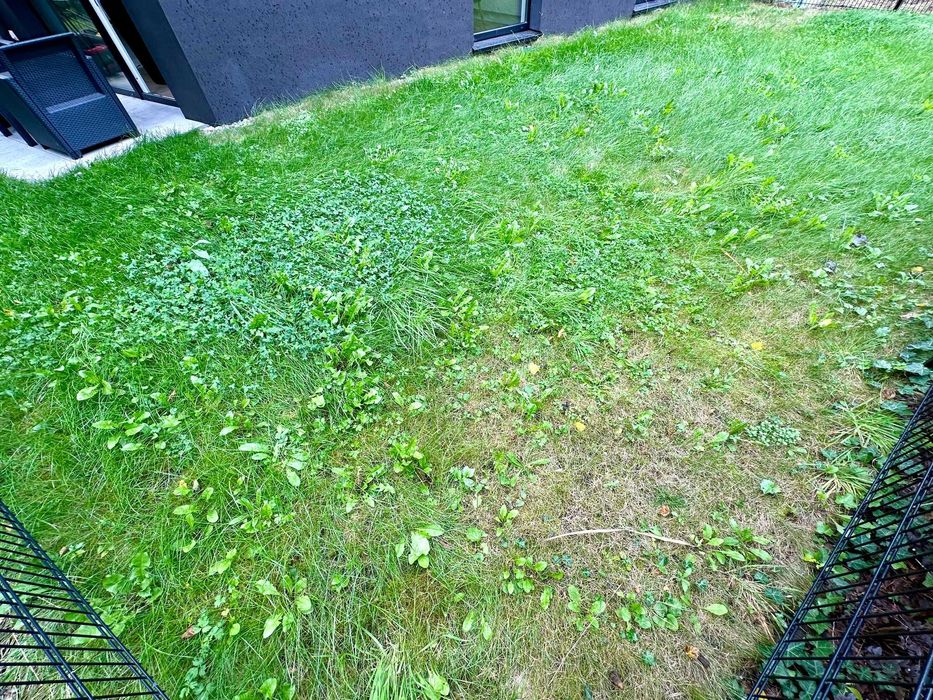 Nowe-3 pok-75m-ul. Jagiellońska, Praga Północ, ogród-ochrona