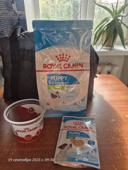Сухий корм для собак Royal Canin XSMALL PUPPY 0,5 кг