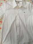 Camisas de Homem - M,L