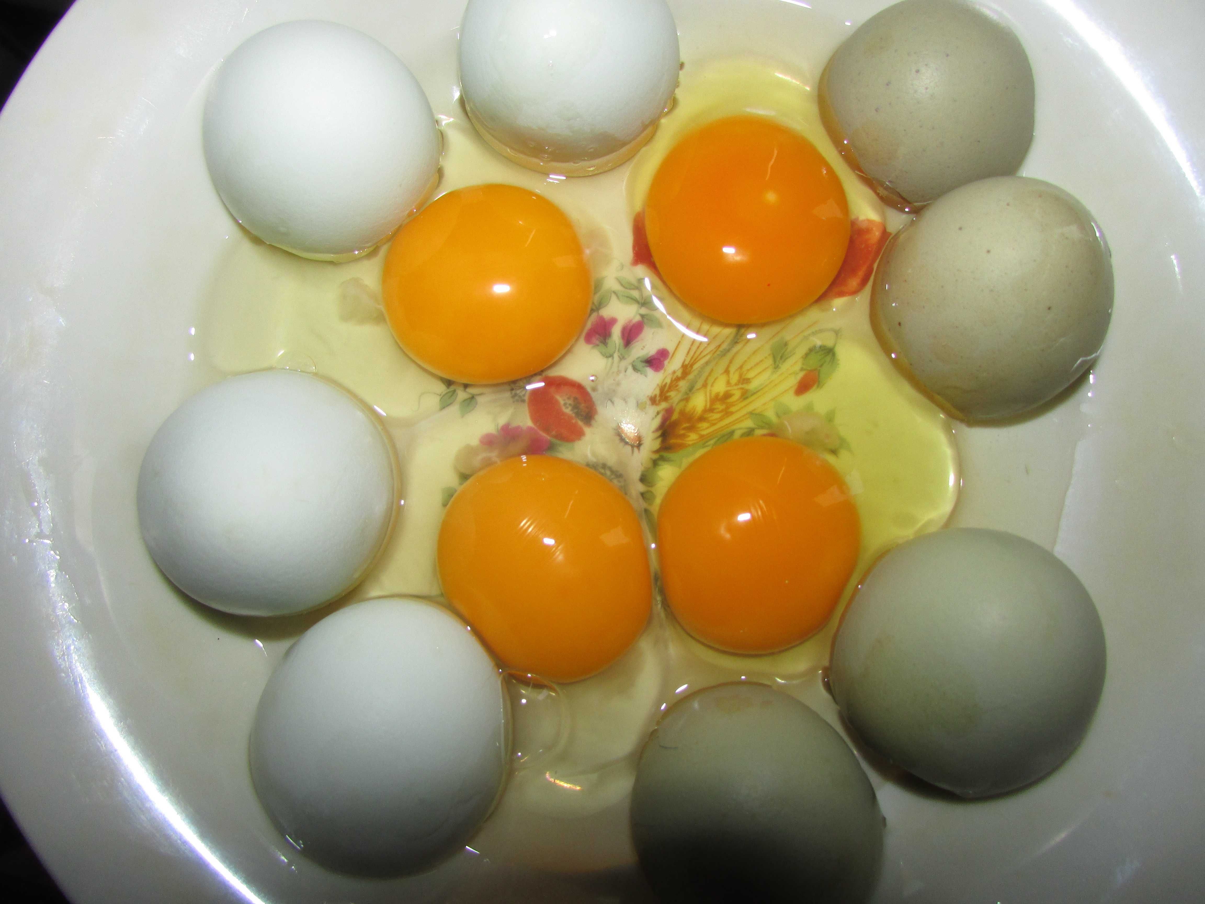 Яйца-на-інкубацию-Амароукана